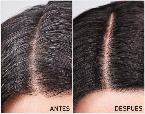 DEXE Shampoo Negro Cubre Canas | 10 Minutos - 0 Canas - 100% Natural