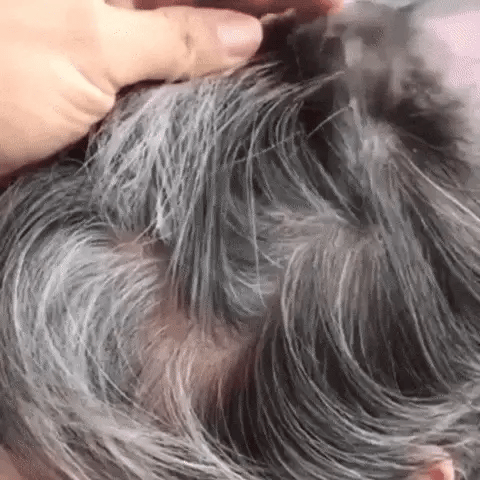 DEXE Shampoo Negro Cubre Canas | 10 Minutos - 0 Canas - 100% Natural