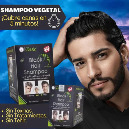 DEXE Shampoo Negro Cubre Canas | 10 Minutos - 0 Canas - 100% Natural