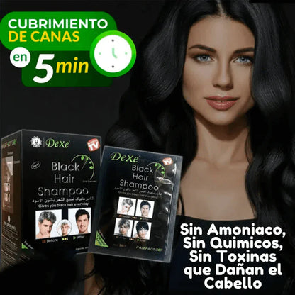 DEXE Shampoo Negro Cubre Canas | 10 Minutos - 0 Canas - 100% Natural