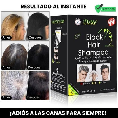 DEXE Shampoo Negro Cubre Canas | 10 Minutos - 0 Canas - 100% Natural