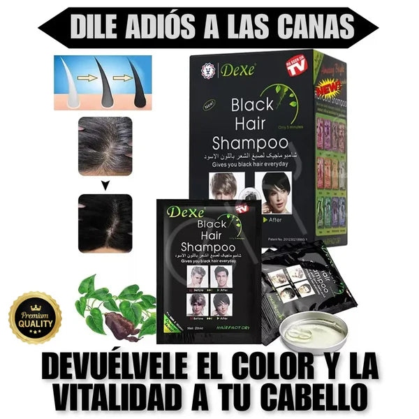 DEXE Shampoo Negro Cubre Canas | 10 Minutos - 0 Canas - 100% Natural